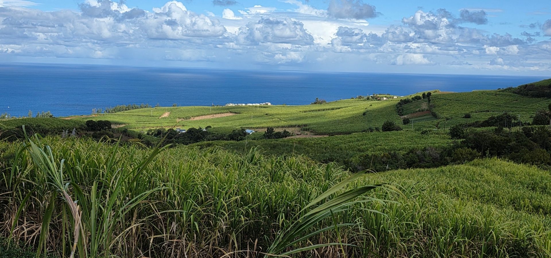 Island tour, view 3