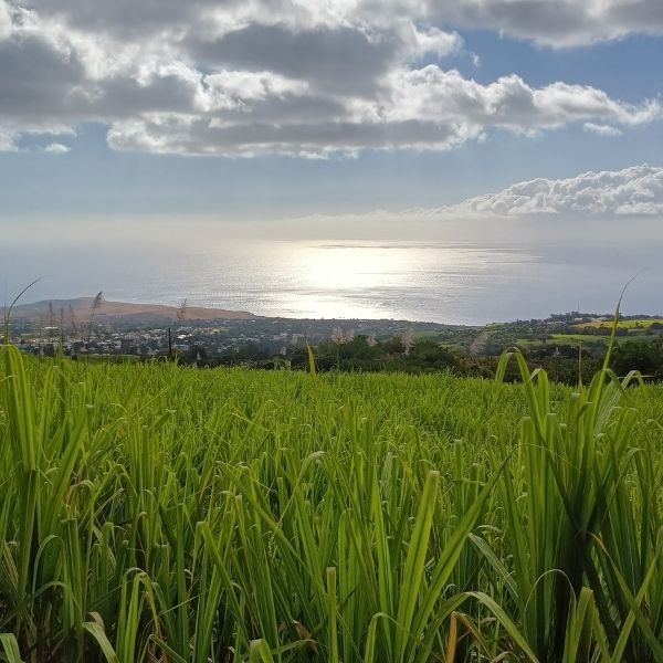 Retour côte Ouest