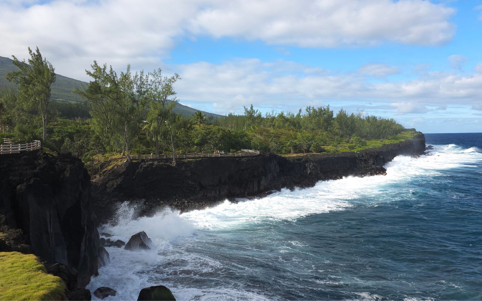 Le Sud Sauvage de la Réunion