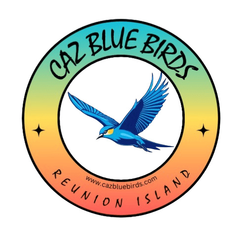 CazBlueBirds — Réunion Island